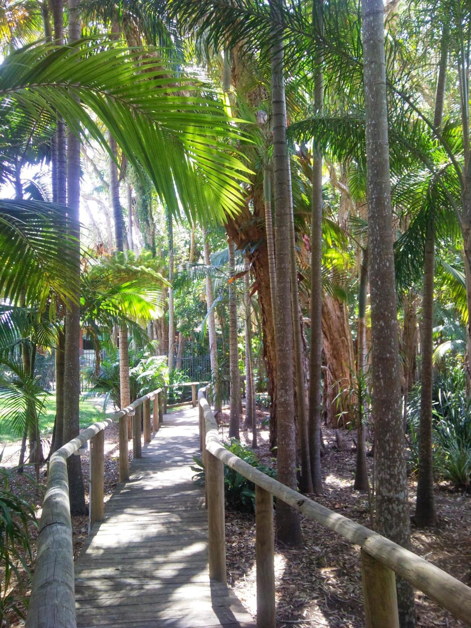 Beach Resort Apartment Port Macquarie Luaran gambar